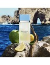 Perfume - Dolce & Gabbana Light Blue Pour Femme 100 ml EDT (Version 2025)