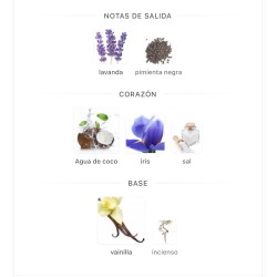 Perfume - Lattafa Asad Zanzibar 100 ml EDP