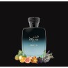 Perfume - Rasasi Hawas Malibu For Him 100 ml EDP