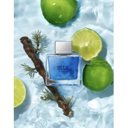 Perfume - Antonio Banderas Blue Seduction Men 50 ml EDT