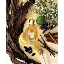 Perfume - Xerjoff Naxos Eau de Parfum 100 ml