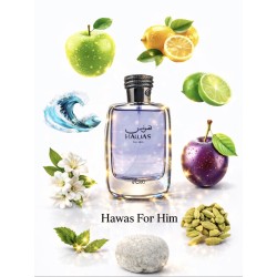 OFERTA - Rasasi Hawas For Him 100 ml EDP