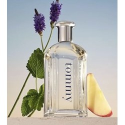 Perfume - Tommy Hilfiger Tommy Men 100 ml EDT